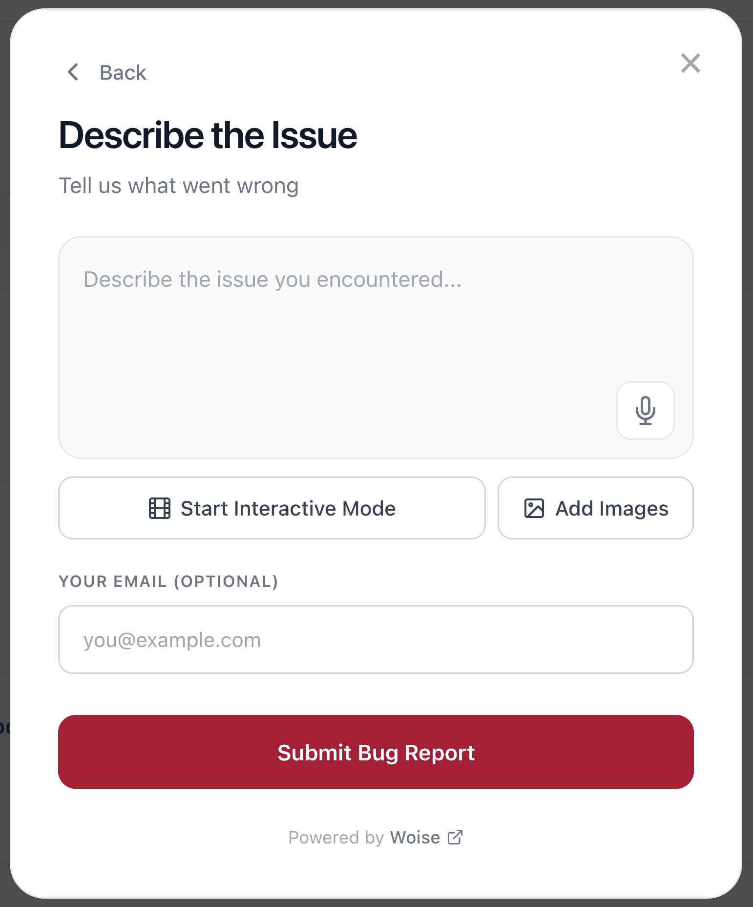 Text-based bug report form with description field and email input
